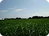 small_1 small_1